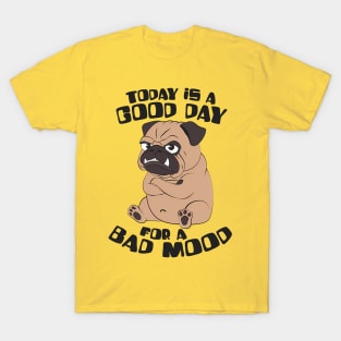 Today is good day for a bad mood T-Shirt